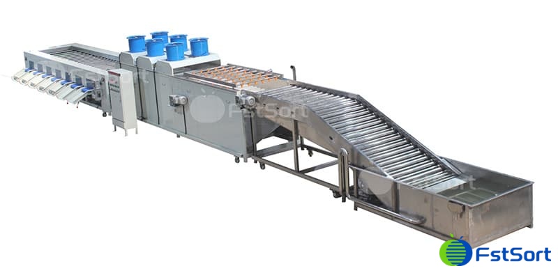 images/1724829827371eggplant processing machine.jpg